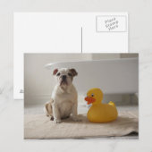 Hond op mat met plastic eend briefkaart (Voorkant / Achterkant)