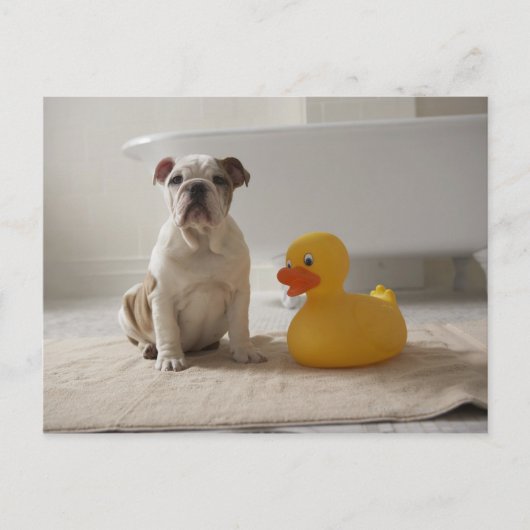 Hond op mat met plastic eend briefkaart (Voorkant)
