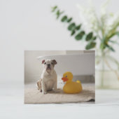 Hond op mat met plastic eend briefkaart (Staand voorkant)