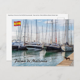 Hond op Paseo maritimo - Palma de Mallorca Briefkaart