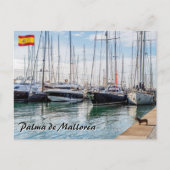 Hond op Paseo maritimo - Palma de Mallorca Briefkaart (Voorkant)