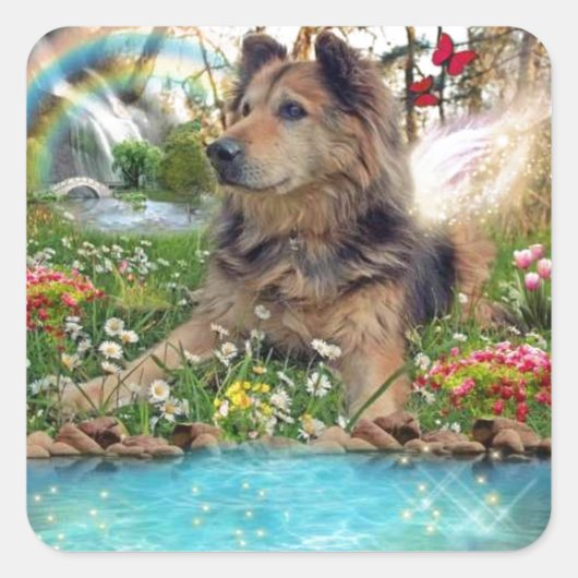 Hond op Rainbow Bridge Pet Vierkante Sticker (Voorkant)