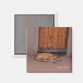 Hond op Rest Square Magnet (Voorkant / Achterkant)