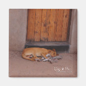 Hond op Rest Square Magnet (Voorkant)