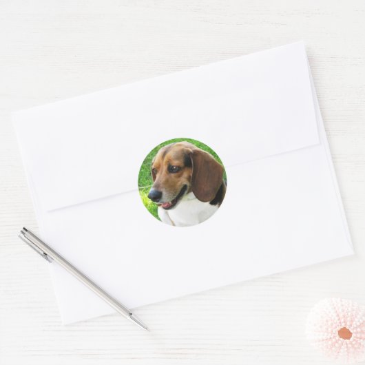Hond op Sticker (Envelop)