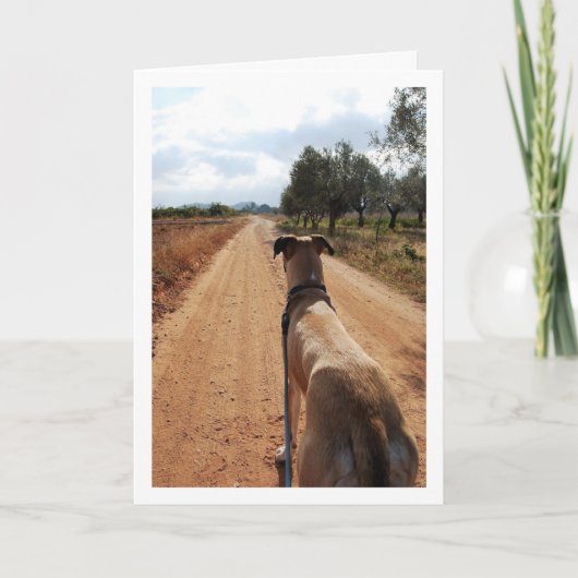 Hond op stoffige weg kaart (Voorkant)