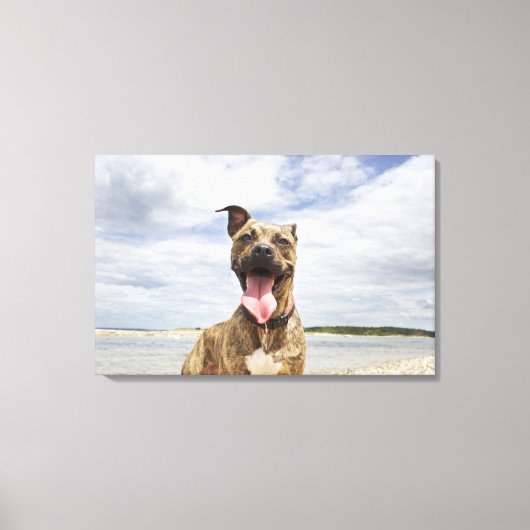 hond op strand canvas afdruk (Voorkant)