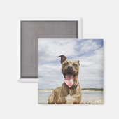 hond op strand magneet (Voorkant / Achterkant)