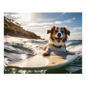 Hond op surfplank foto afdruk (Voorkant)