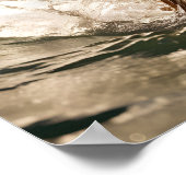 Hond op surfplank poster (Hoek)