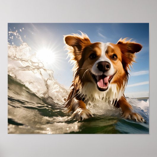 Hond op surfplank poster (Voorkant)