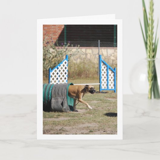 Hond op Training School Kaart (Voorkant)