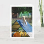 Hond op Training School Kaart (Voorkant)