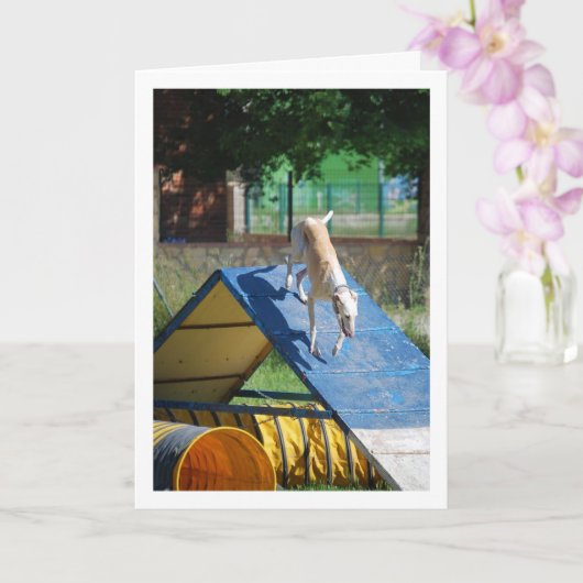 Hond op Training School Kaart (Orchidee)