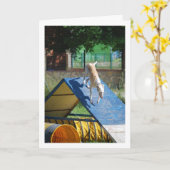 Hond op Training School Kaart (Gele Bloem)