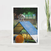 Hond op Training School Kaart (Voorkant)