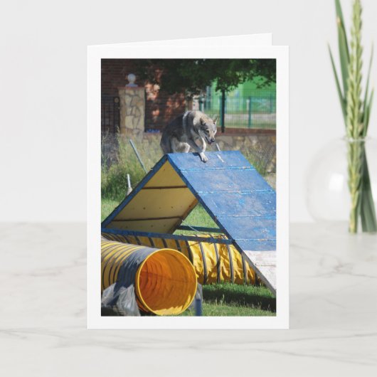 Hond op Training School Kaart (Voorkant)