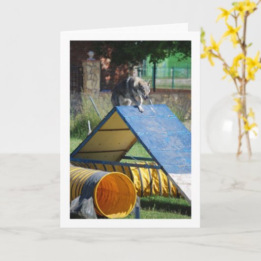 Hond op Training School Kaart (Gele Bloem)