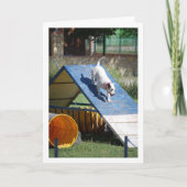 Hond op Training School Kaart (Voorkant)