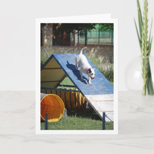 Hond op Training School Kaart (Voorkant)