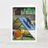 Hond op Training School Kaart (Voorkant)