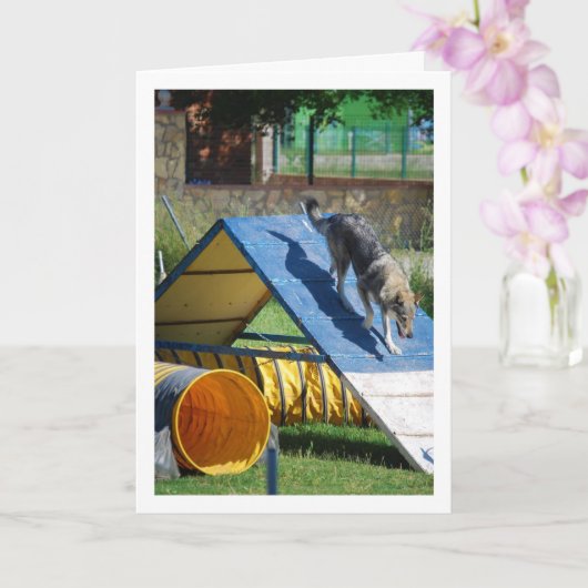 Hond op Training School Kaart (Orchidee)