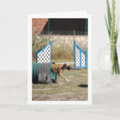 Hond op trainingschool kaart (Voorkant)