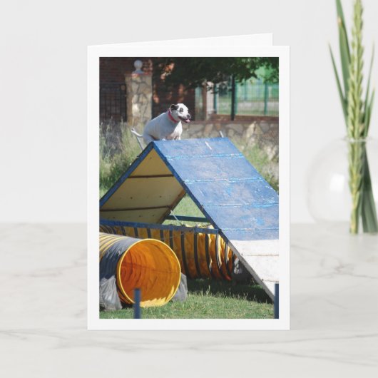 Hond op Trainingschool Kaart (Voorkant)