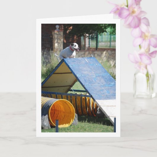 Hond op Trainingschool Kaart (Orchidee)