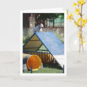 Hond op Trainingschool Kaart (Gele Bloem)