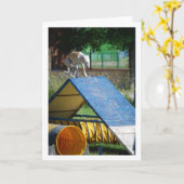 Hond op Trainingschool Kaart (Gele Bloem)