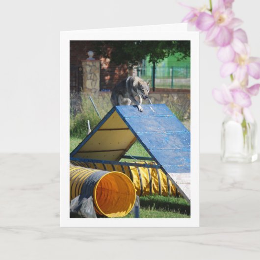 Hond op trainingschool kaart (Orchidee)