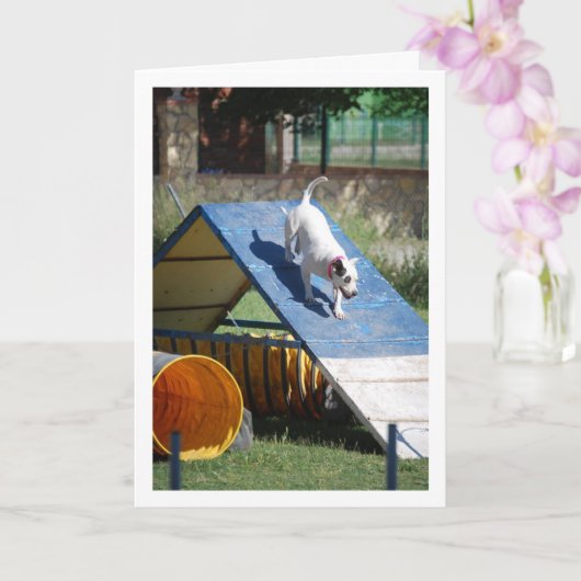 Hond op Trainingschool Kaart (Orchidee)