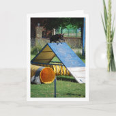 Hond op trainingschool kaart (Voorkant)