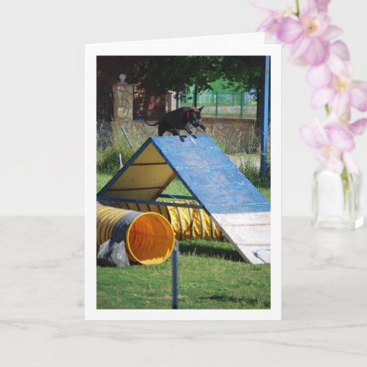 Hond op trainingschool kaart (Orchidee)