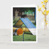 Hond op trainingschool kaart (Gele Bloem)