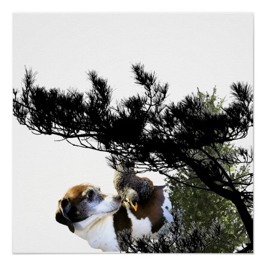 hond perfect poster (Voorkant)