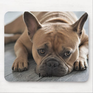 Hond Persoonlijke Foto Muismat