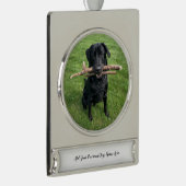 Hond Persoonlijke Naam en Foto Verzilverd Banner Ornament (Rechts)