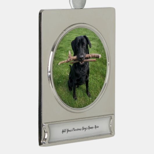 Hond Persoonlijke Naam en Foto Verzilverd Banner Ornament (Rechts)