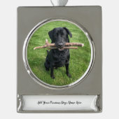 Hond Persoonlijke Naam en Foto Verzilverd Banner Ornament (Voorkant)