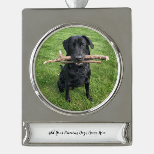 Hond Persoonlijke Naam en Foto Verzilverd Banner Ornament
