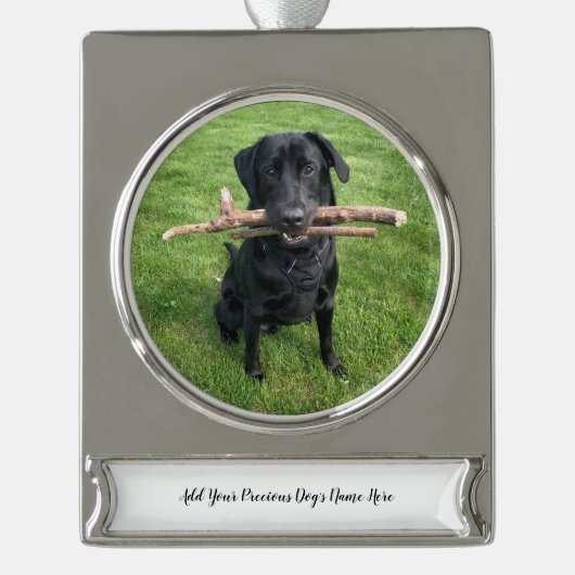 Hond Persoonlijke Naam en Foto Verzilverd Banner Ornament (Voorkant)