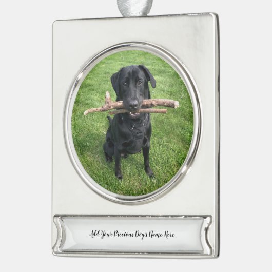 Hond Persoonlijke Naam en Foto Verzilverd Banner Ornament (Links)