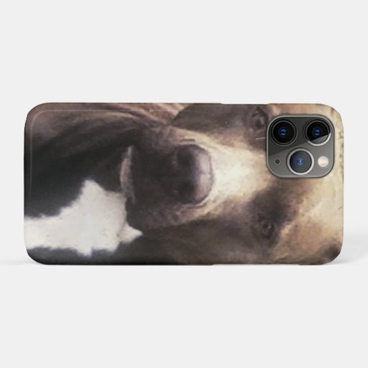 Hond Pitbull Aangepaste Foto Case-Mate iPhone Case (Achterkant (horizontaal))