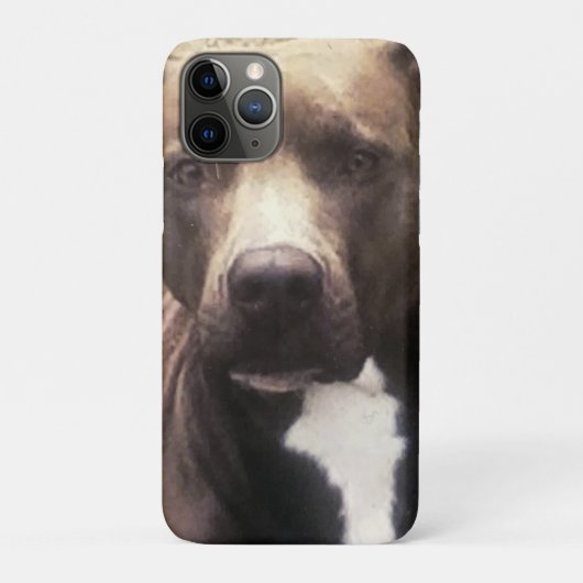 Hond Pitbull Aangepaste Foto Case-Mate iPhone Case (Achterkant)