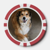 Hond Poker Chips (Voorkant)