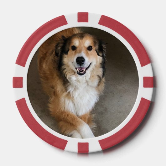 Hond Poker Chips (Voorkant)