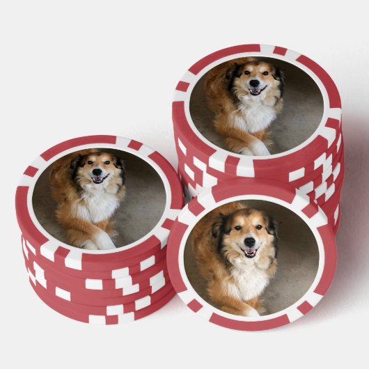 Hond Poker Chips (Opstapeling)