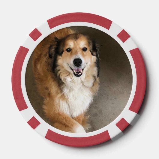 Hond Poker Chips (Achterkant)